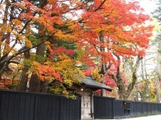 角館の紅葉写真１