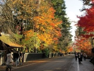 角館の紅葉写真２