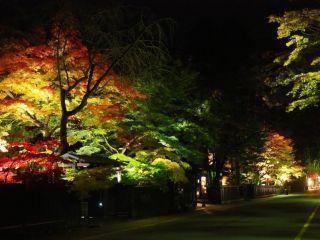 角館の紅葉の写真３