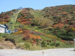 蔵王エコーライン（山形県側）の紅葉写真１