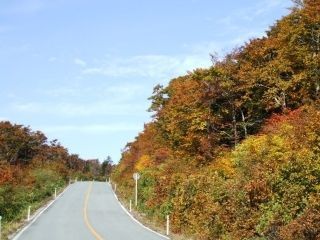 蔵王エコーライン（山形県側）の紅葉写真２