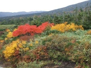 蔵王エコーライン（山形県側）の紅葉の写真４