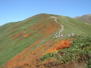 月山花笠ラインの紅葉写真２