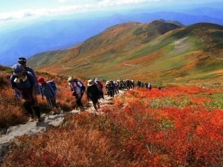 月山花笠ラインの紅葉の写真３