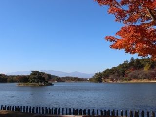 南湖公園の紅葉写真２