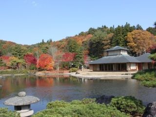 南湖公園の紅葉の写真３