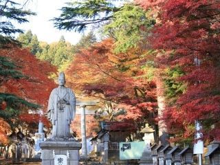 南湖公園の紅葉の写真４