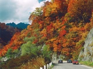 田子倉湖の紅葉写真２