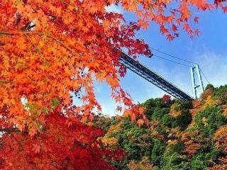 竜神峡の紅葉の写真４