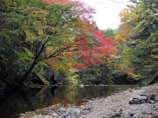 花園渓谷の紅葉の写真４