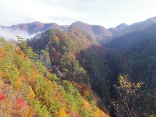 瀬戸合峡の紅葉写真１