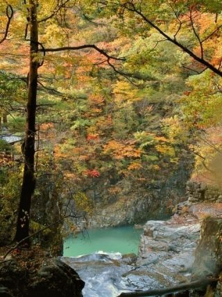 龍王峡の紅葉の写真３