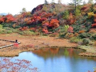 白根山 殺生河原武具脱の池付近の紅葉写真１