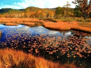 尾瀬ヶ原（群馬県側）の紅葉写真２