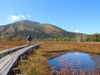 尾瀬ヶ原（群馬県側）の紅葉の写真３