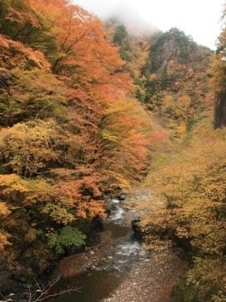 中津峡の紅葉写真１