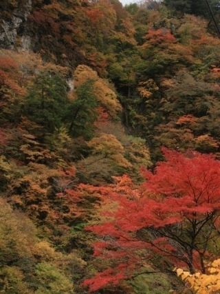 中津峡の紅葉写真２