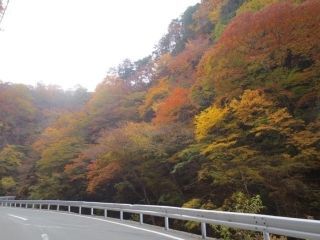 中津峡の紅葉の写真３