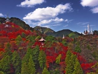 鳥居観音の紅葉写真１