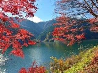 名栗湖・有間渓谷の紅葉写真１