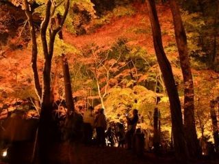 長瀞の紅葉写真２