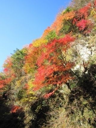 白岩の紅葉写真１