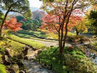 小石川後楽園の紅葉写真１