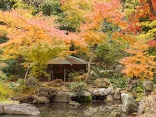 六義園の紅葉写真１