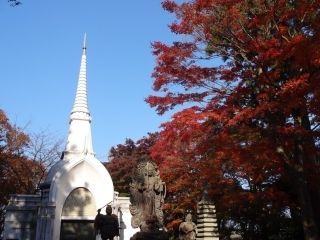 高尾山の紅葉写真２