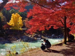 御岳渓谷・御岳渓谷遊歩道の紅葉写真１