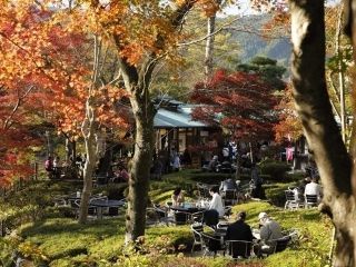 御岳渓谷・御岳渓谷遊歩道の紅葉写真２