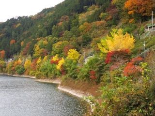 奥多摩湖の紅葉写真１