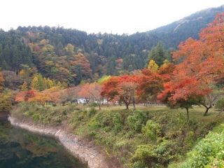 奥多摩湖の紅葉の写真３