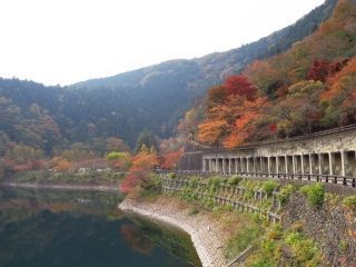 奥多摩湖の紅葉の写真４