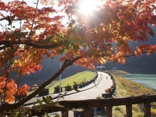 丹沢湖の紅葉の写真３