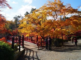 弥彦公園もみじ谷の紅葉の写真３