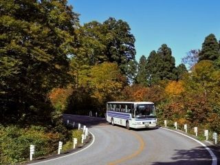 立山美女平の紅葉写真１