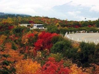 立山室堂平の紅葉写真２