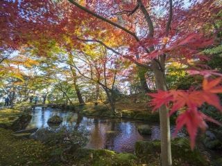 兼六園の紅葉写真１