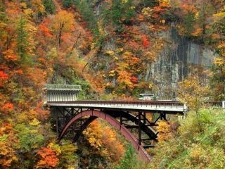 白山白川郷ホワイトロードの紅葉写真１