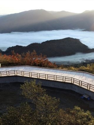 白山白川郷ホワイトロードの紅葉写真２