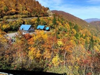 白山白川郷ホワイトロードの紅葉の写真３