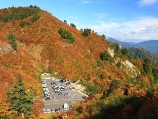 白山白川郷ホワイトロードの紅葉の写真４