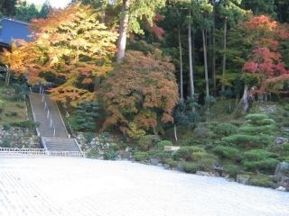 萬徳寺の紅葉写真１