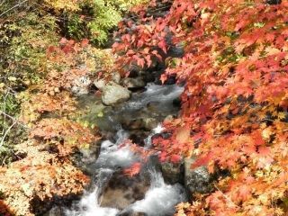 竜門峡の紅葉写真１