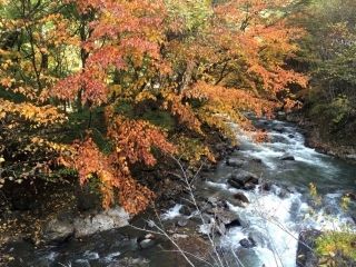 竜門峡の紅葉の写真４