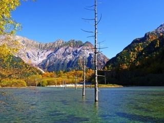 上高地の紅葉の写真３