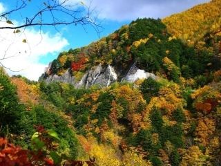 乗鞍高原の紅葉写真２