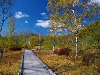 乗鞍高原の紅葉の写真３