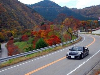 飛騨・美濃せせらぎ街道の紅葉写真２